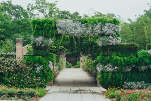 New Orleans Botanical Garden