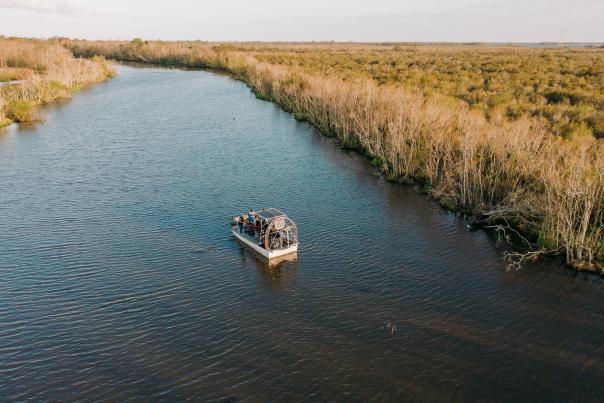 Airboat Swamp Tour