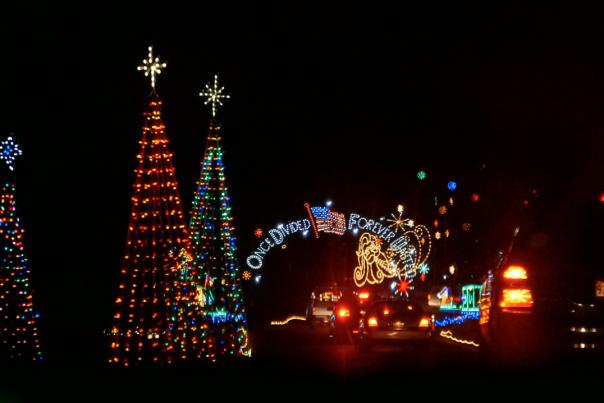 A holiday drive through light show is shown at nighttime, with cars lined up next to lit up trees and an archway reads "once divided, forever united".
