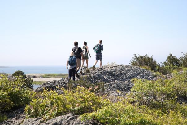 a group of hikers walks along a rocky outcropping toward a beach