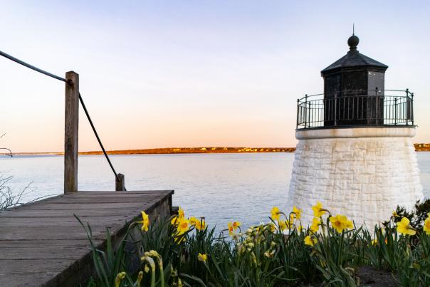 Newport Daffodil Days Castle Hill Lighthouse Sunset Flowers