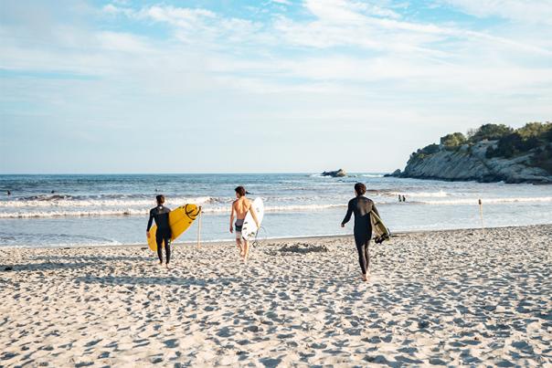 Copy of 2019 Surfing Summer