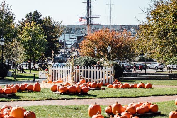 Fall Downtown Trinity Pumpkin Patch