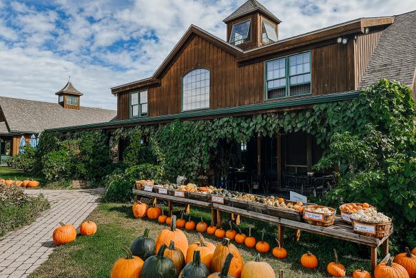 Sweet Berry Farm Middletown
