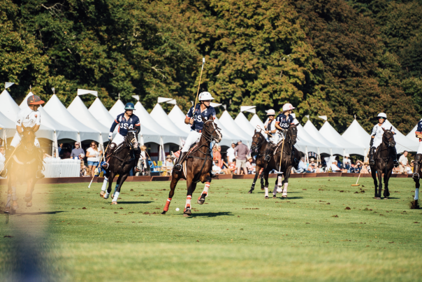 Newport Polo