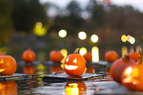 halloween pumpkin flotilla