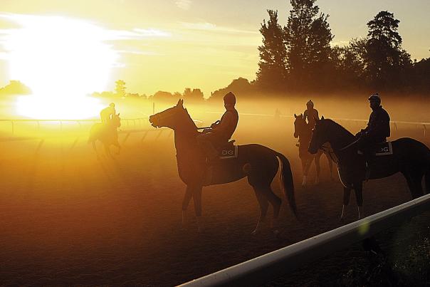 Belmont Saratoga Mystique