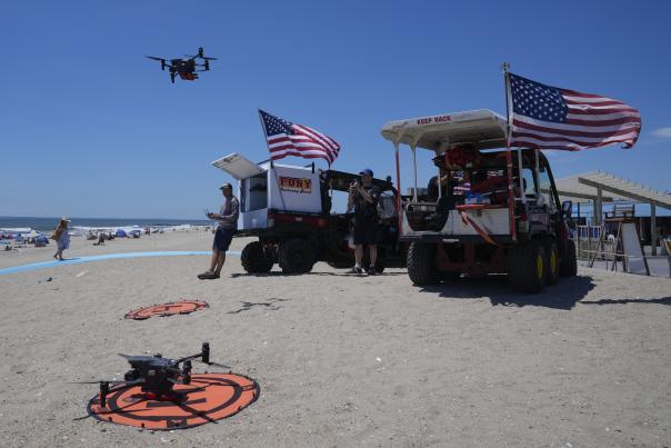 Drone Beach Bird Attacks