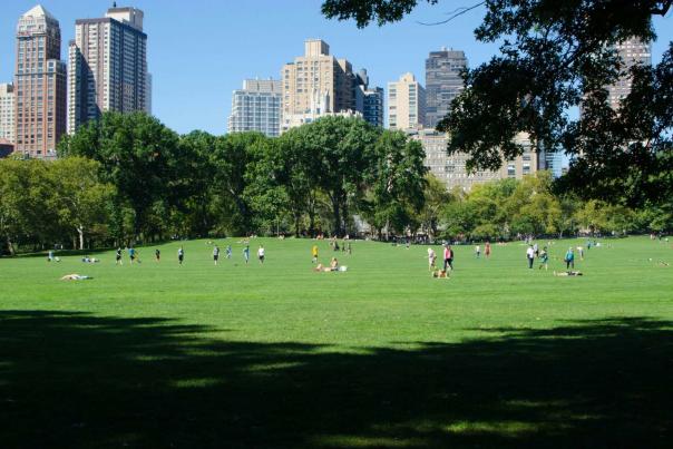 Central Park open lawn filled with people relaxing, walking, and enjoying outdoor activities with Manhattan skyline in the background