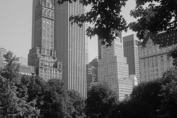 New York City skyline seen from Central Park with trees and open space