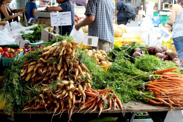 Fresh organic yellow carrots at nyc farmers market