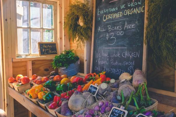 Colorful fresh vegetables displayed with a Certified Organic sign at a specialty market, reflecting premium grocery culture