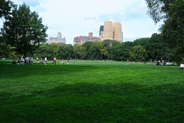 Top Things to Do in New York City with Kids