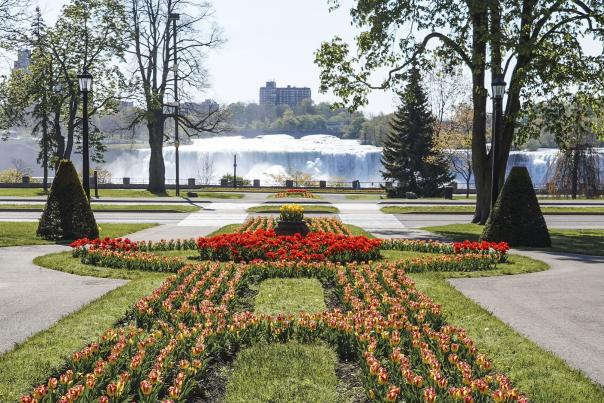 Niagara’s Best Parks For Scene-Stealing Sunsets