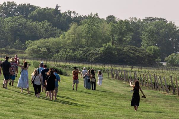 Niagara’s Top Festivals and Events for Wine & Food Lovers