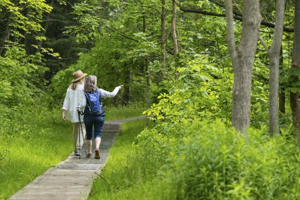 The Best Bruce Trail Hikes For Wine Lovers