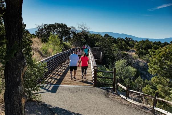 People walk along a wooden trail bridge surrounded by trees and distant mountains under a clear blue sky.
