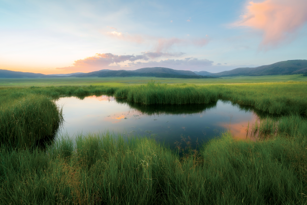 The Valles Caldera National Preserve is lush with summer grasses.