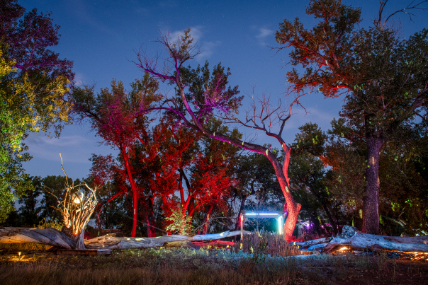 Art City’s 13 large-scale sculptures light up at night.