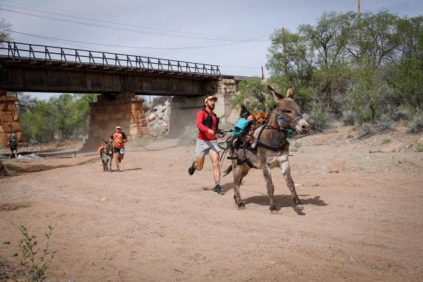 A man jogs alongside a donkey on a dusty path beneath a railway bridge.