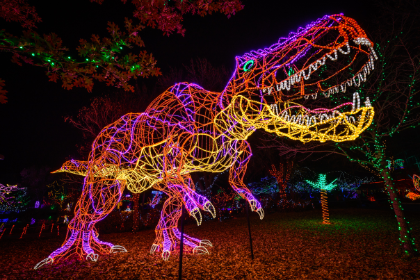 A Tyrannosaurus Rex sculpture made of colorful Christmas lights stands among other light displays and trees.