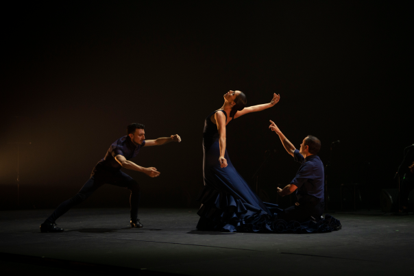 Daniel Doña Compañia de Danza performs at Festival Flamenco Alburquerque.