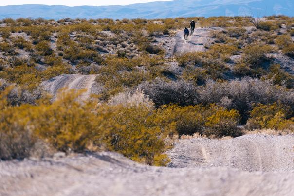 Follow El Chico Bandito into the Chihuahuan Desert.