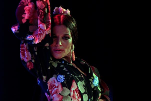 Artists such as Inmaculada Aranda perform at the Festival Flamenco Alburquerque.