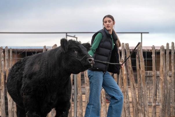Teen rancher Harper Dunn leads her black steer by a rope.