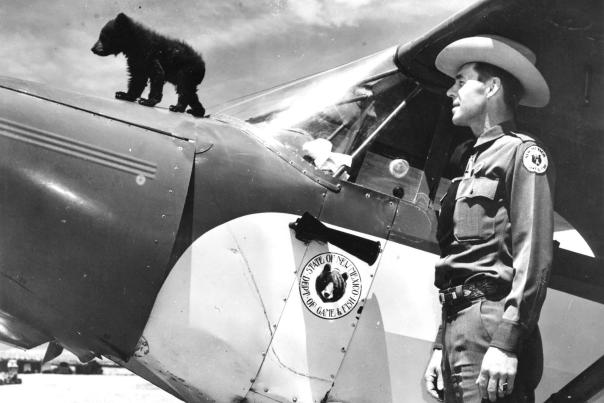 Ray Bell helped nurse Smokey Bear back to health as a cub.