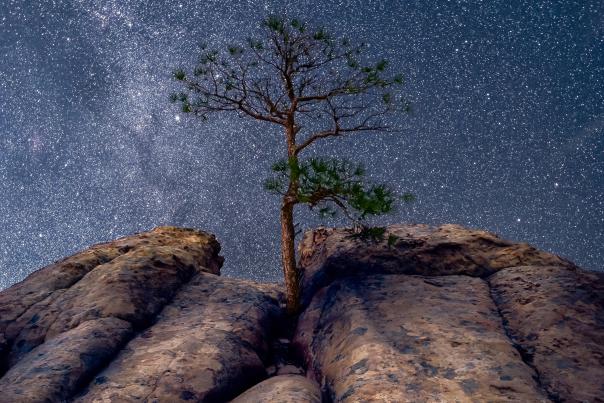 In winter, dark skies can be magnificent at El Malpais National Monument.