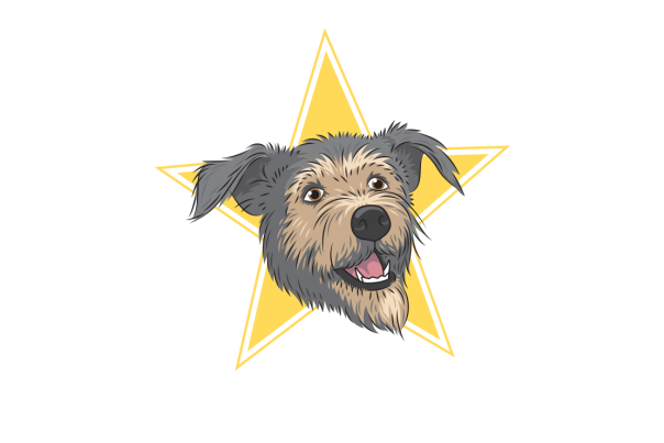 An illustration of a fluffy, smiling dog's head centered on a yellow star.