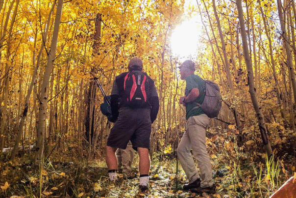 Fall might be the best season to experience Flag Mountain.