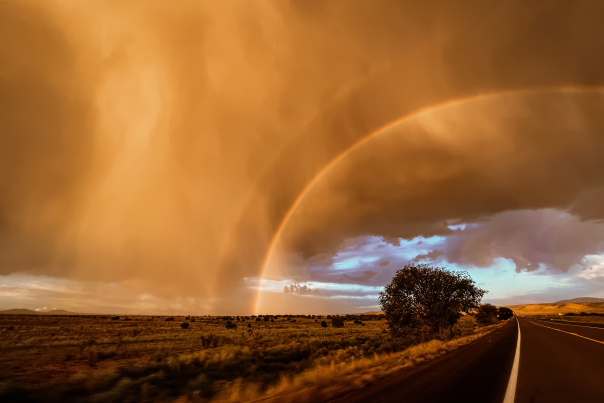 Through the Storm by Trisha Hughes
