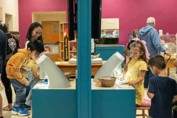 Children exploring specimens at illuminated microscopes in a hands‑on museum exhibit.