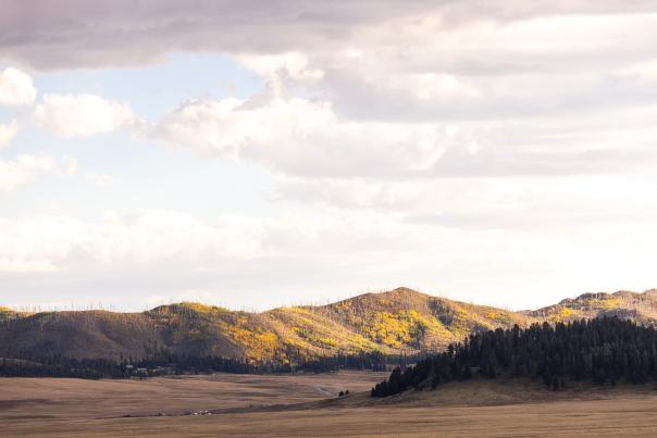 Fall aspens color a hillside scarred by one of many recent wildfires that have impacted the Valles Caldera National Preserve.