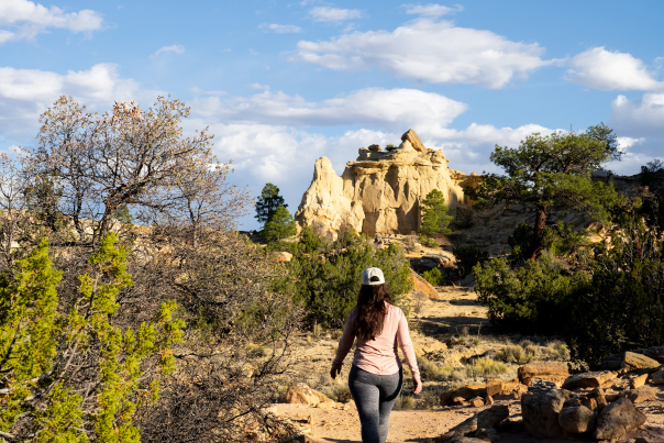 A person walks along a sunlit desert trail toward tall sandstone formations surrounded by shrubs and scattered trees.