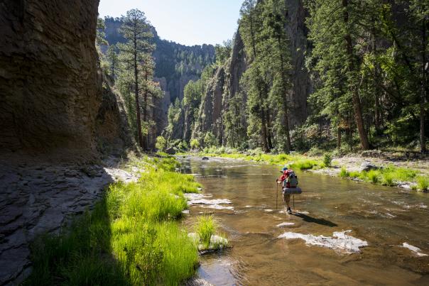 Celebrate 100 years of the Gila Wilderness with a headwaters hike.