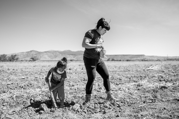 Michelle Lowden and her three-year-old son, Naiyu, a future farmer of Acoma, out in the cornfield.
