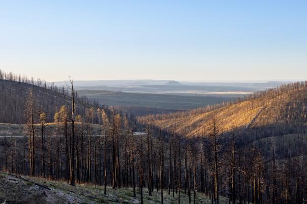 A portion of the 341,471-acre Hermit’s Peak/Calf Canyon burn scar, as seen from the eastern slopes of the Sangre de Cristo Mountains.