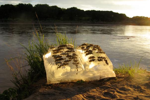 Basia Irland's "Tome II" a 200-pound hand-carved ice book sits along the Río Grande at dusk.