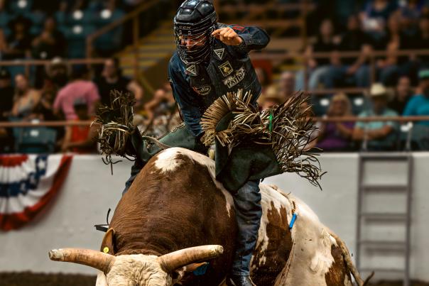 A cowboy competes in the PRCA Rodeo at the New Mexico State Fair, riding a bull inside the Expo NM arena.