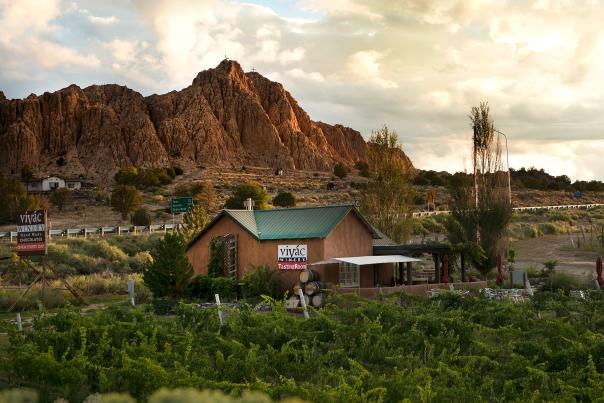 Vivác Winery is set in the beautiful Embudo Valley.