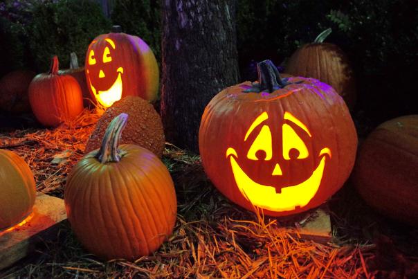 Pumpkin Carving