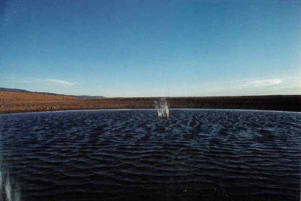 Photograph by John Nichols for "The Holiness of Water."