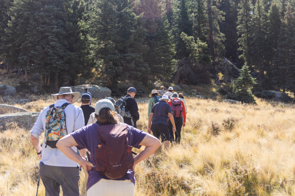 Take a guided hike in the Valles Caldera.