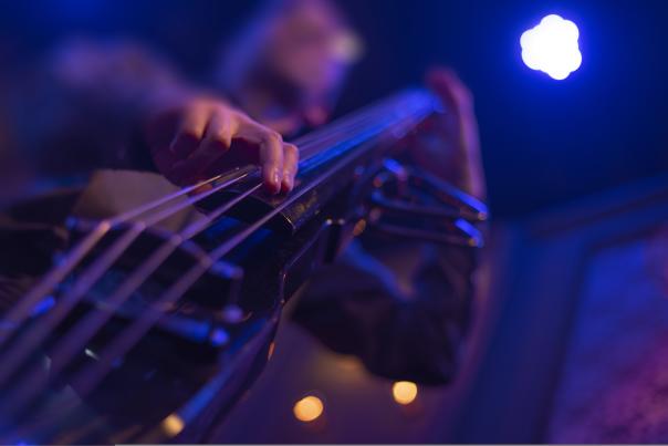 The Standard Jazz and Blues Fest