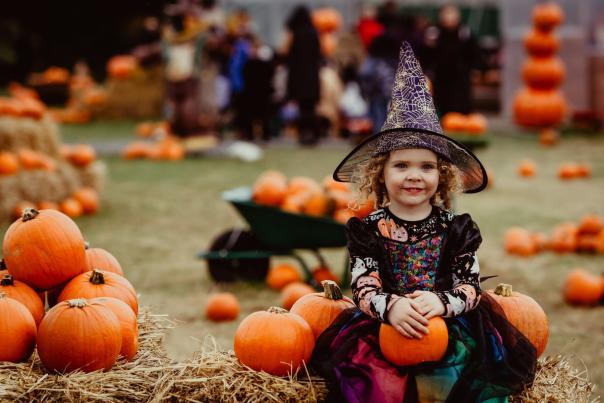 Child in a Halloween costume enjoying a pumpkin-picking experience at a pumpkin patch, surrounded by pumpkins and autumn harvest displays.