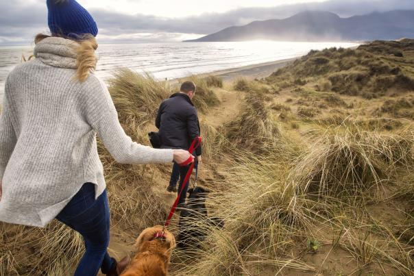Dog friendly walks & places to stay 