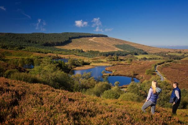 Walking Challenges in Northern Ireland